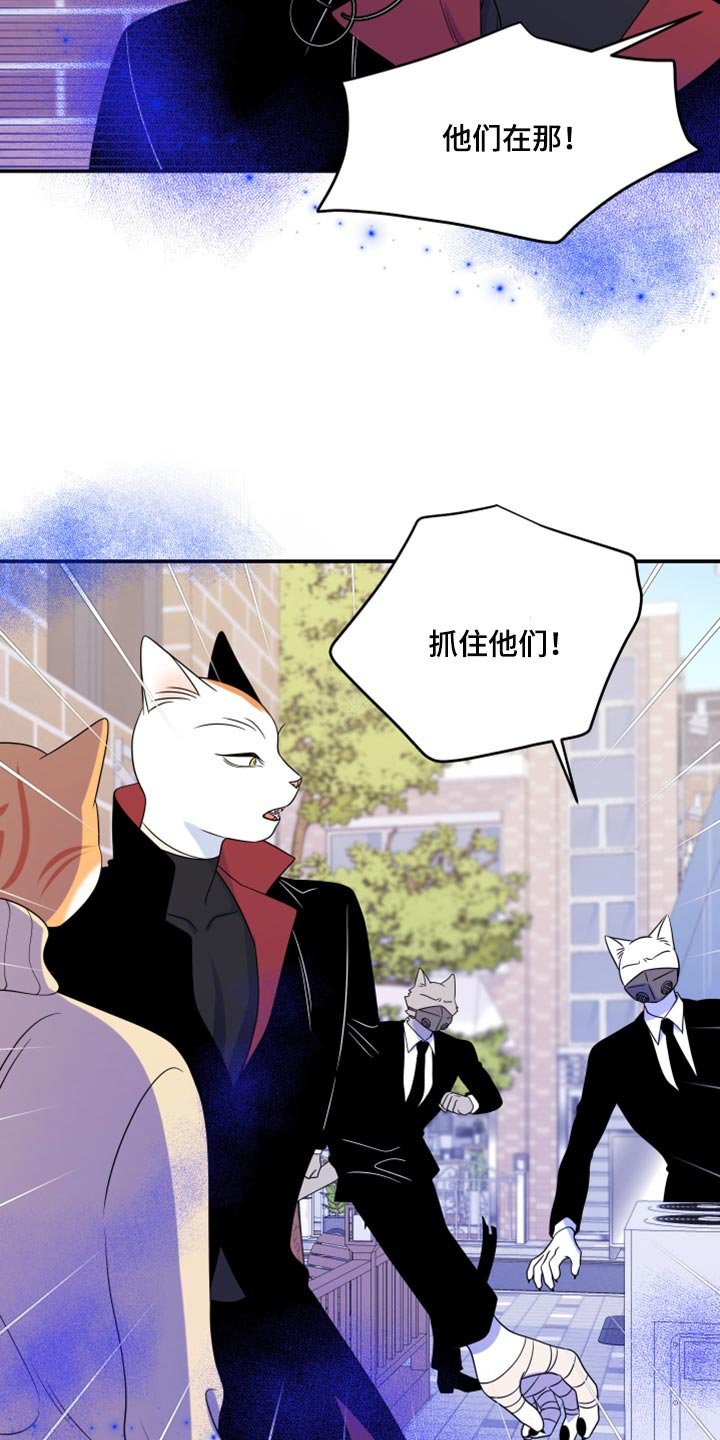 第48章：让我保护你