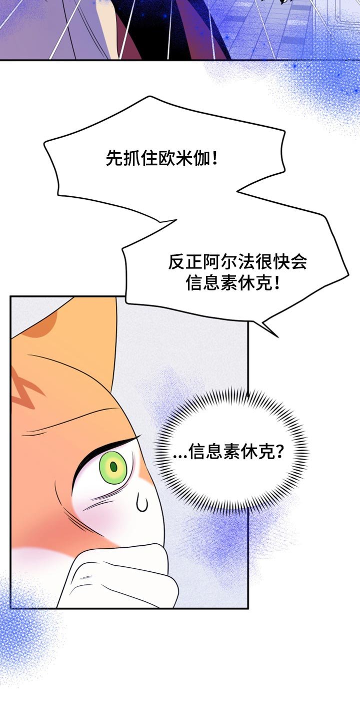第48章：让我保护你