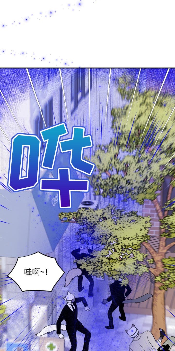 第48章：让我保护你