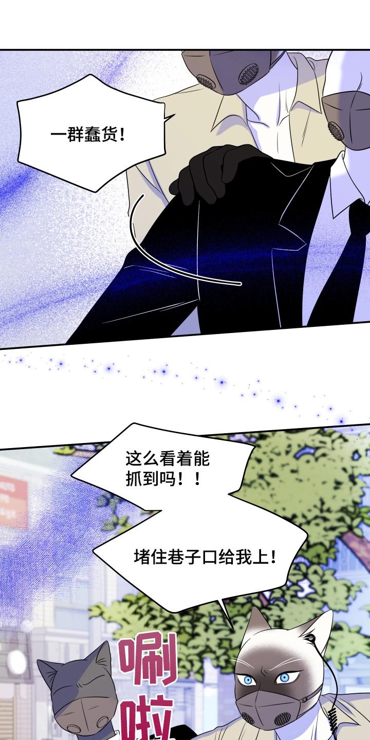 第48章：让我保护你