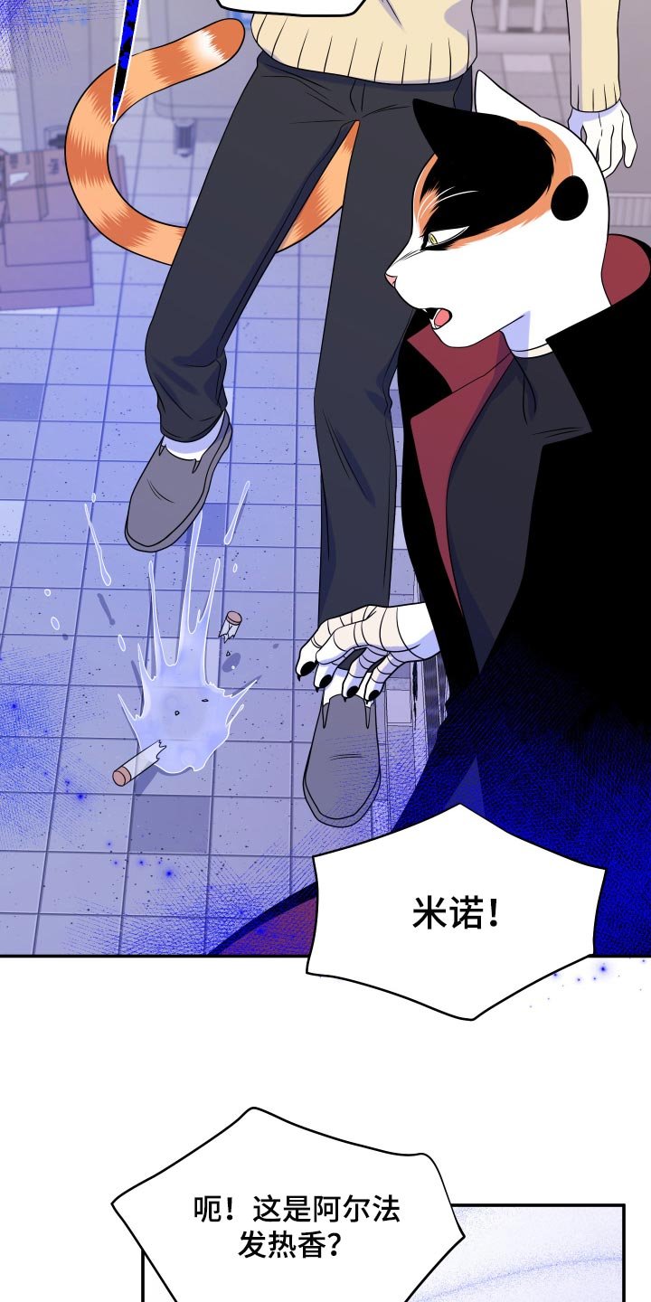 第48章：让我保护你