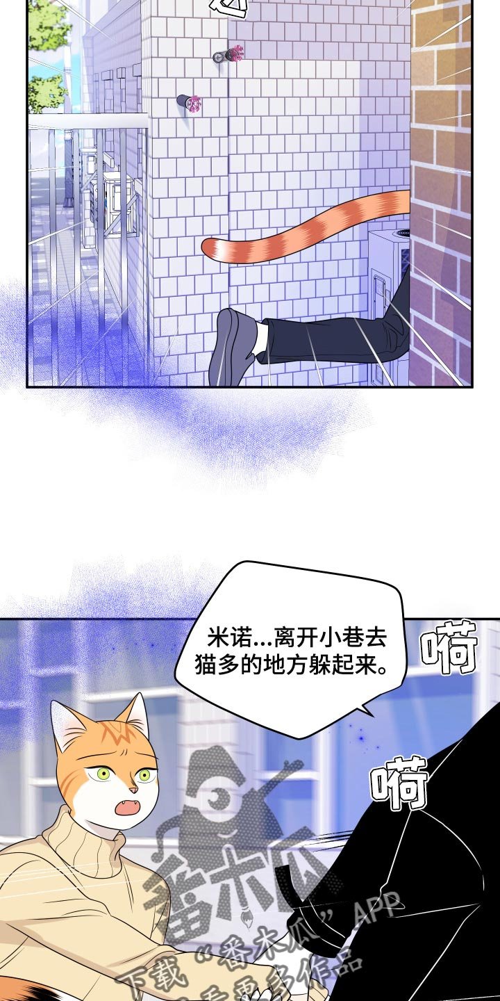 第48章：让我保护你