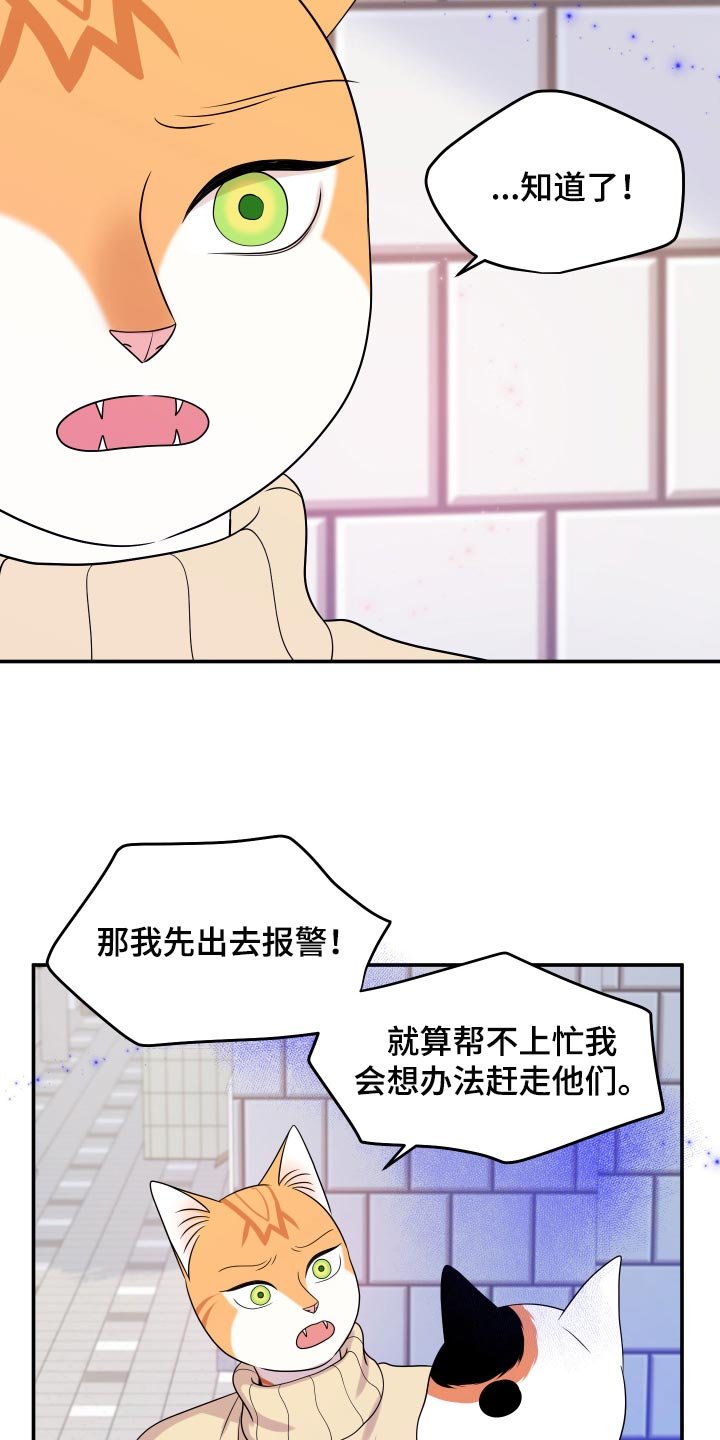 第48章：让我保护你
