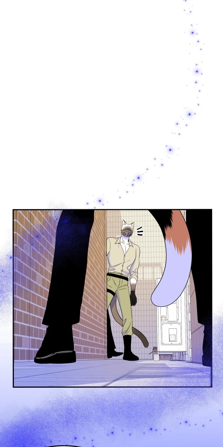 第48章：让我保护你