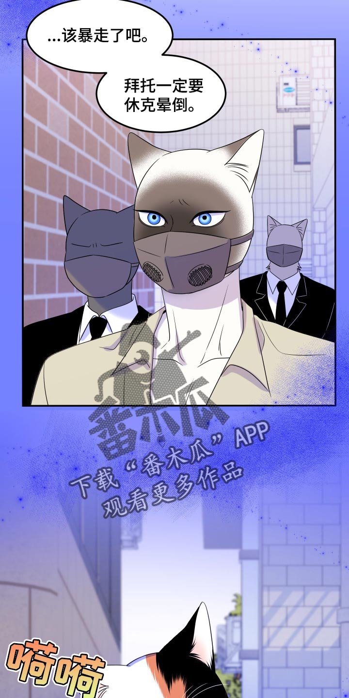 第48章：让我保护你