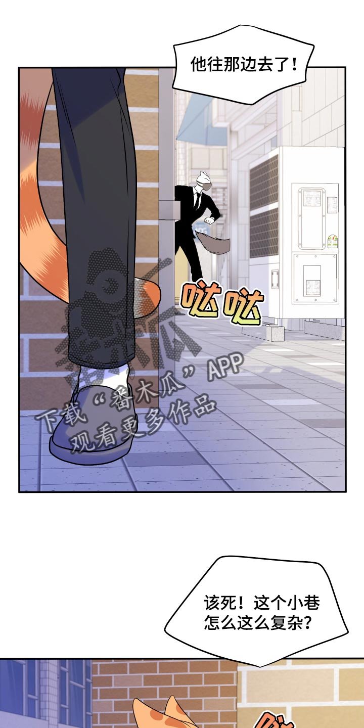 第49章：恶斗