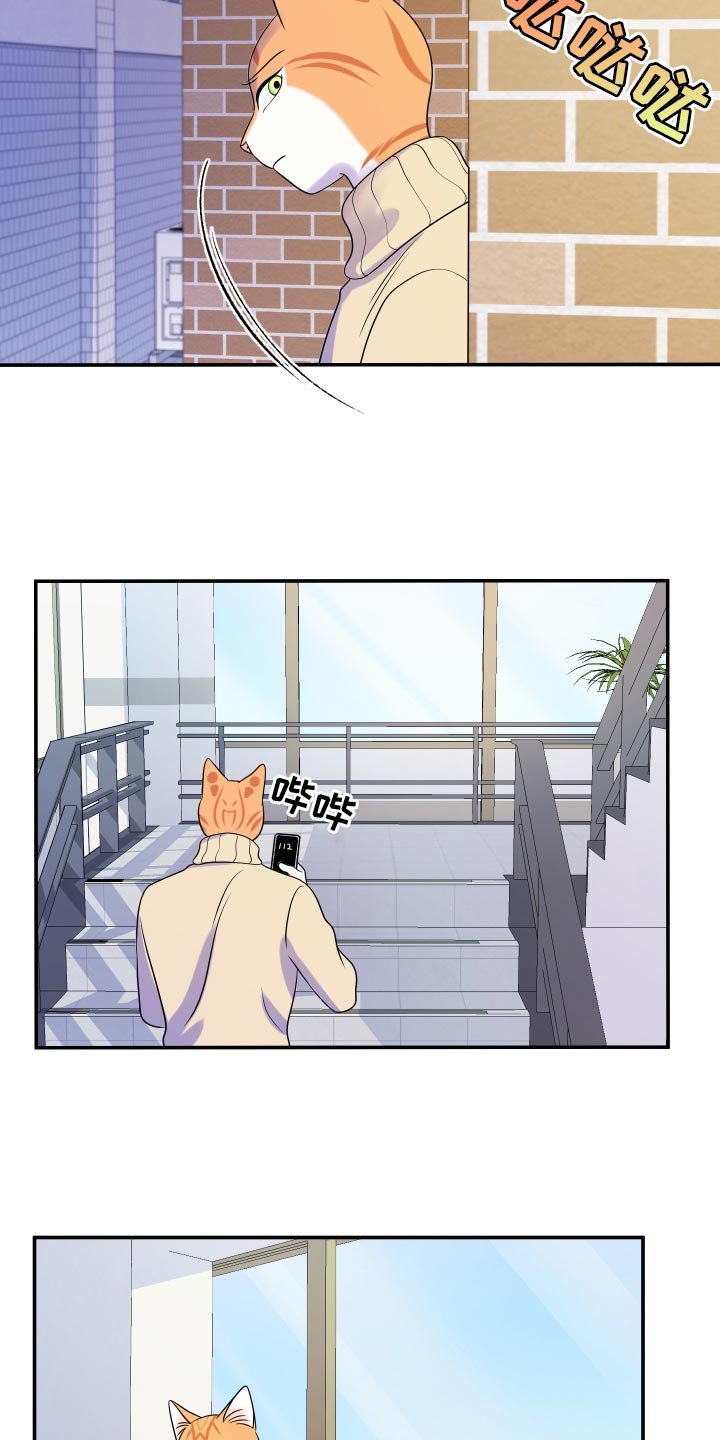 第49章：恶斗