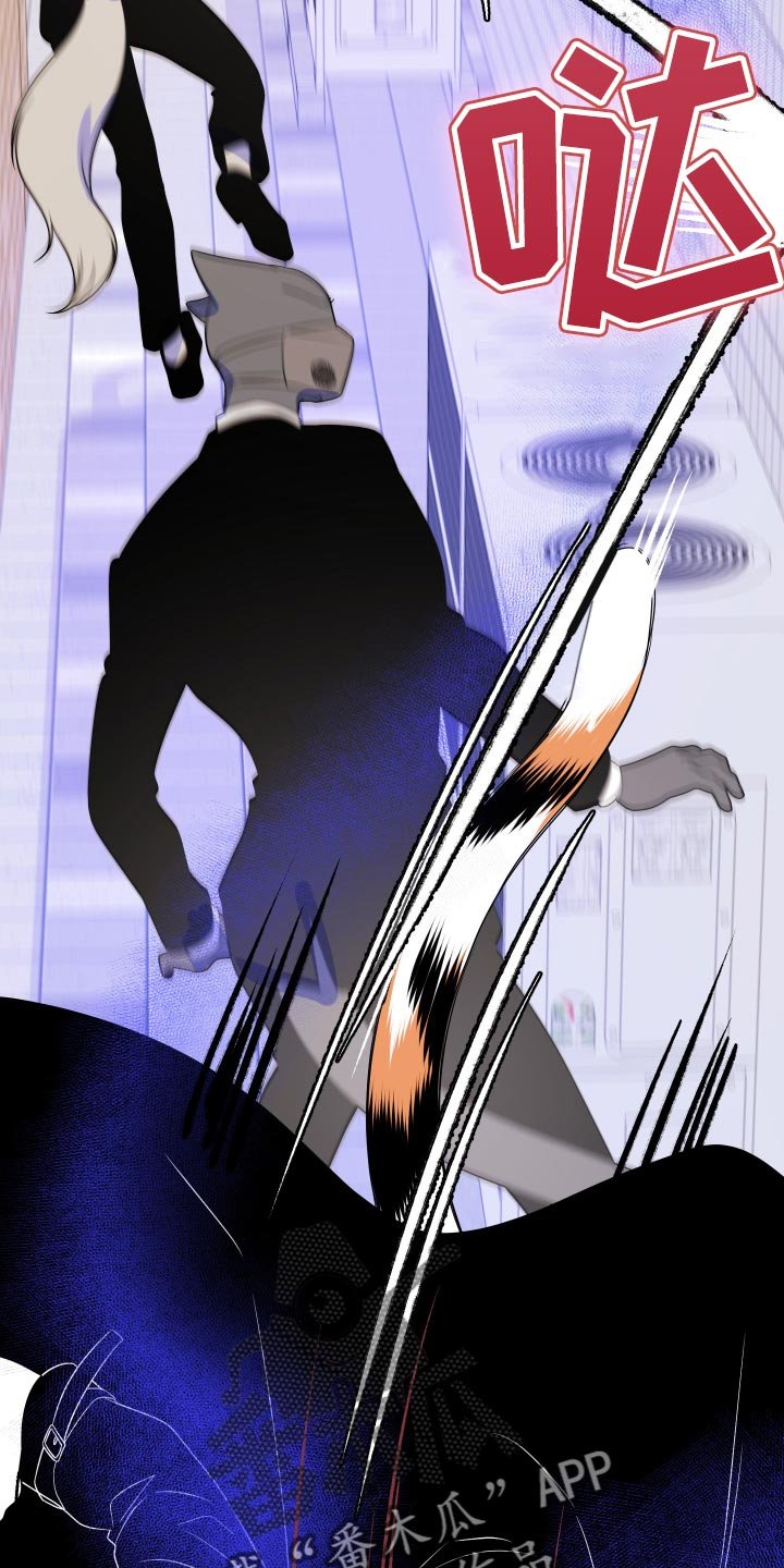 第49章：恶斗