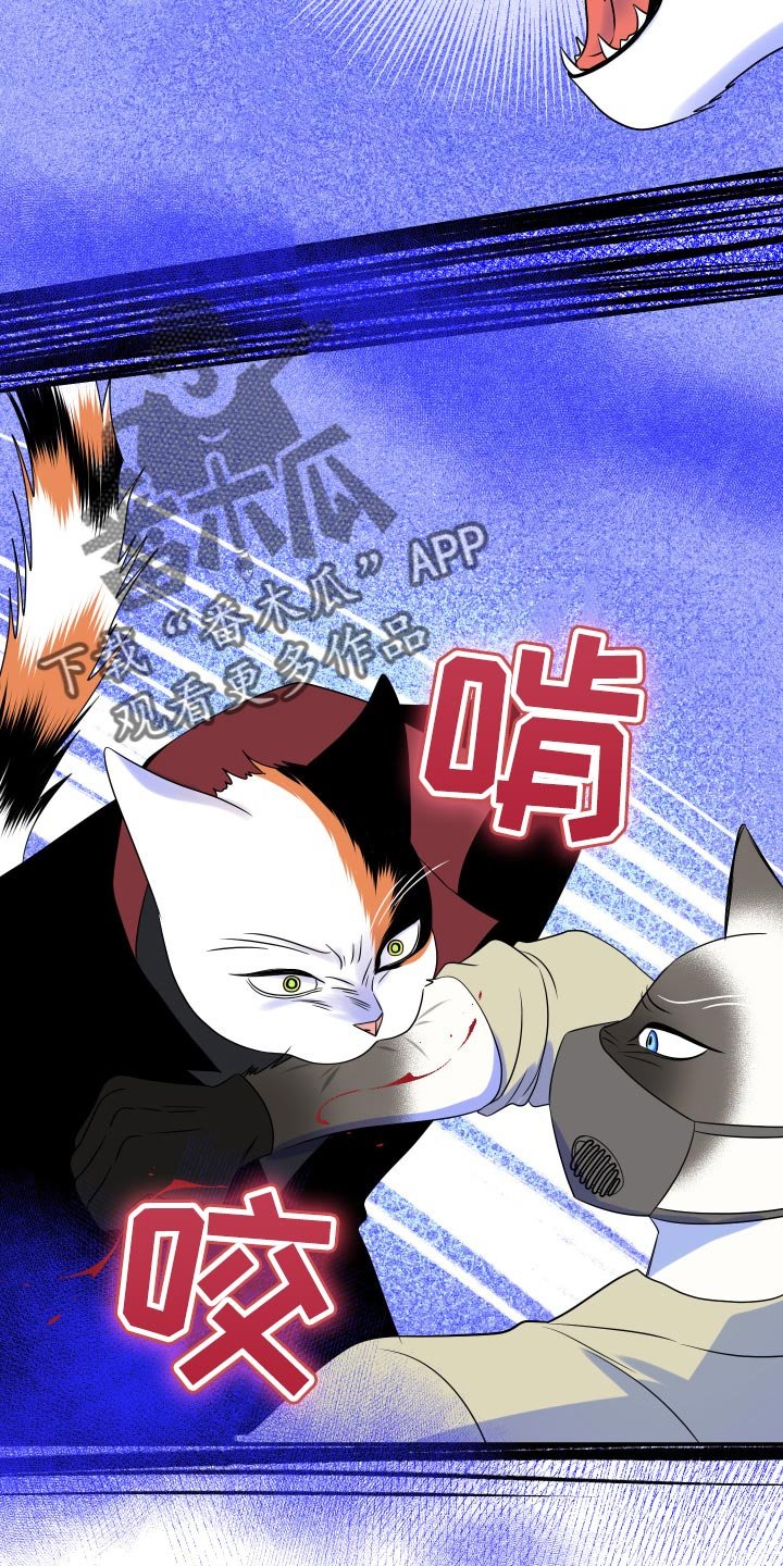 第49章：恶斗