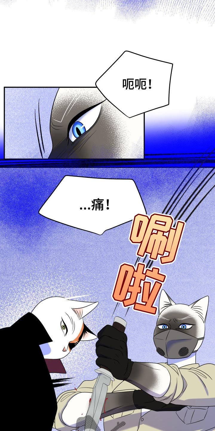 第49章：恶斗