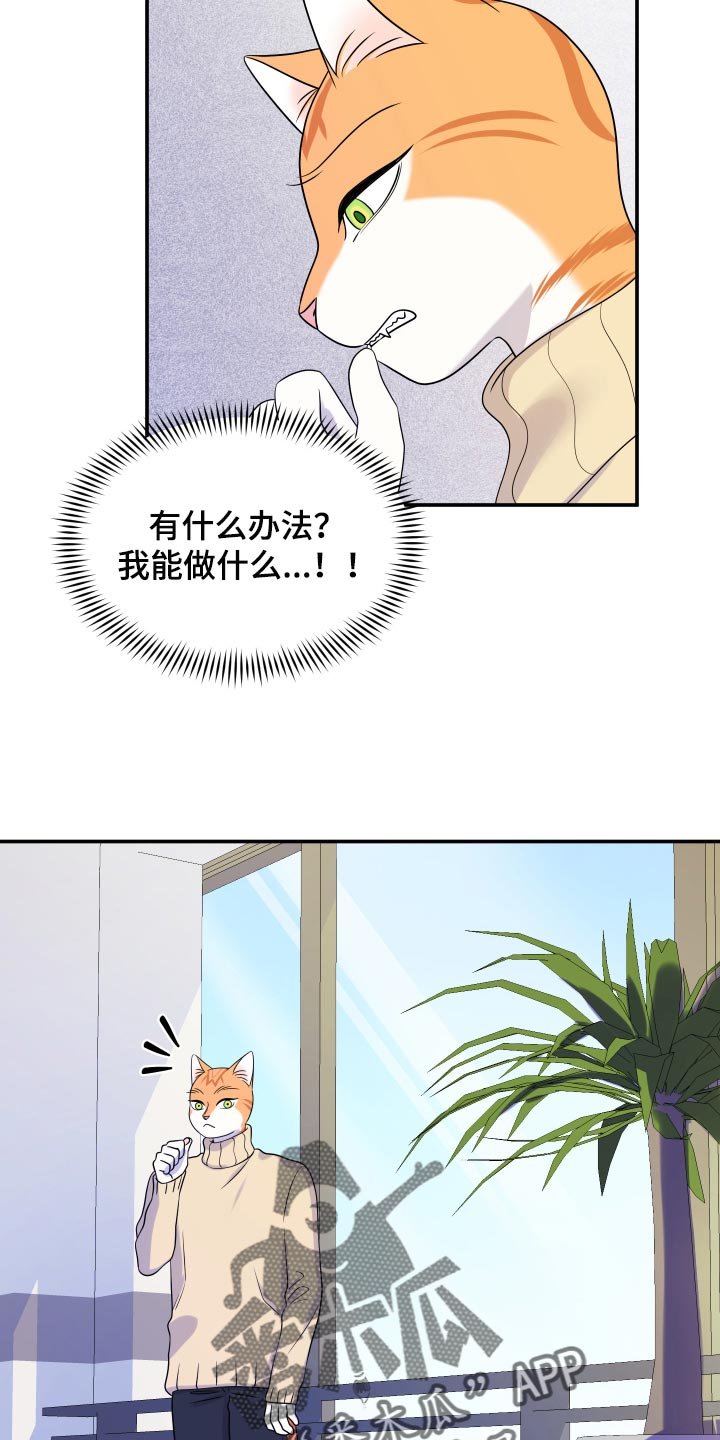 第49章：恶斗