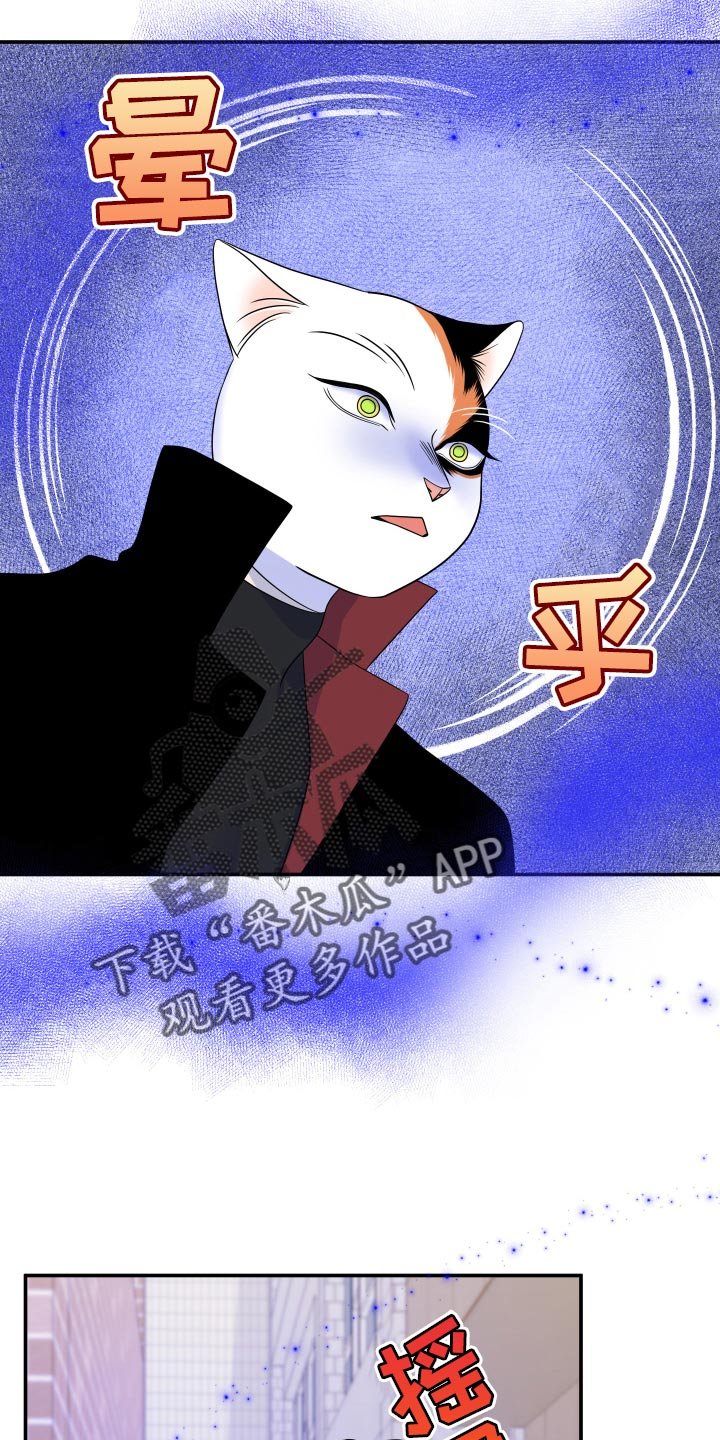 第49章：恶斗