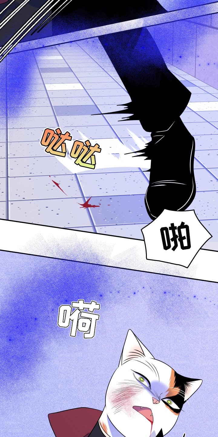 第49章：恶斗