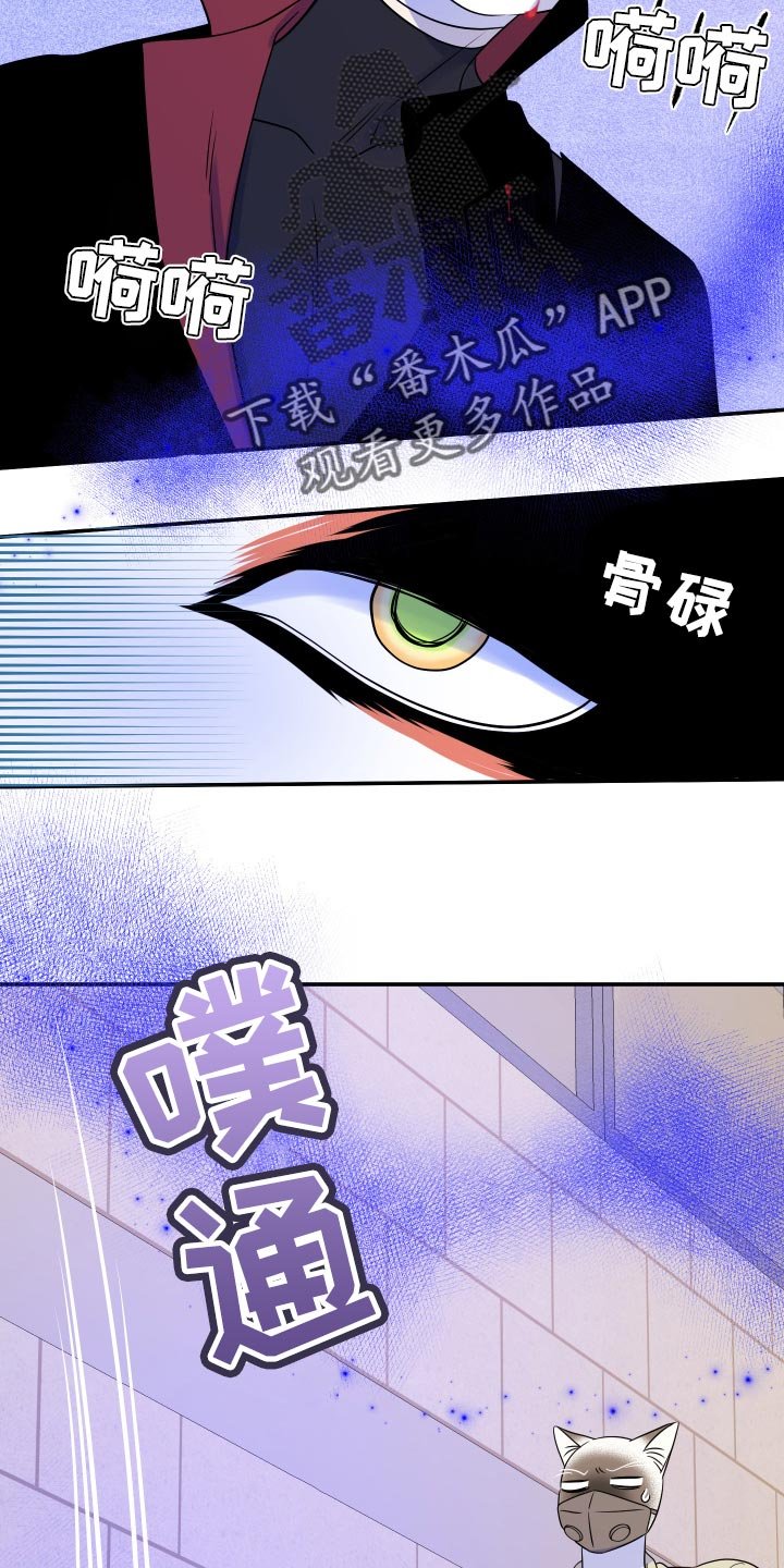 第49章：恶斗