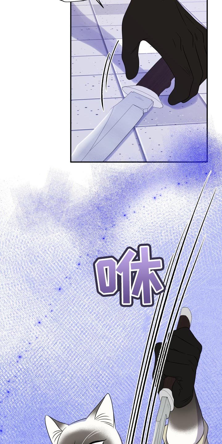 第49章：恶斗