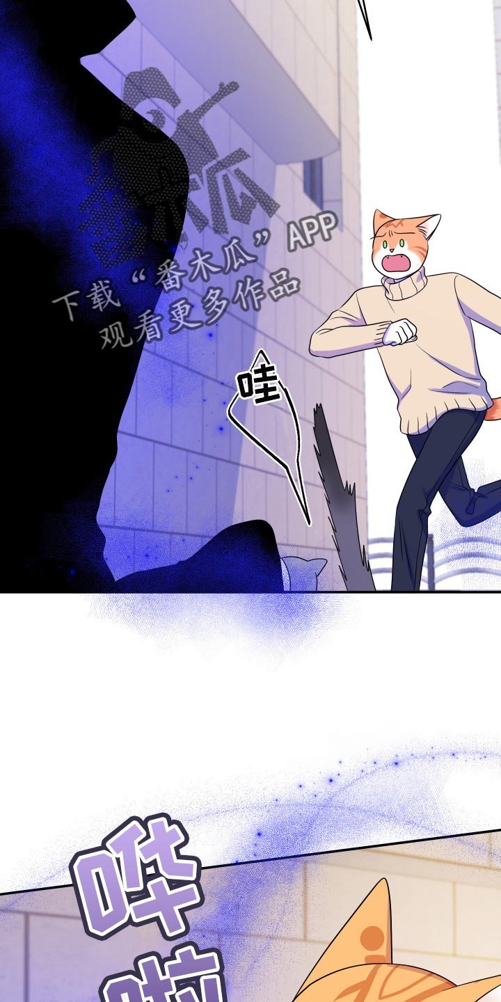 第49章：恶斗