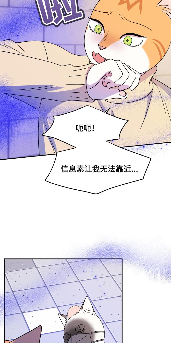 第49章：恶斗