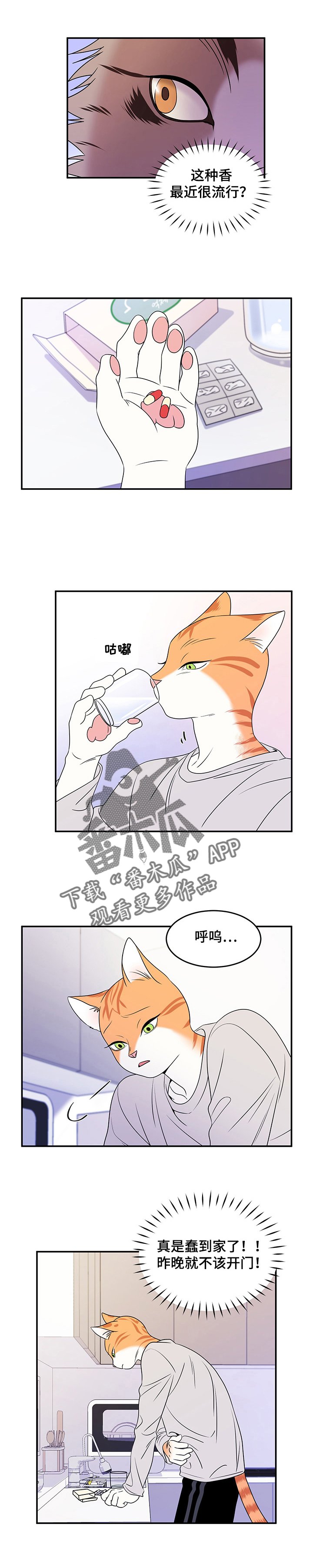 第5章：给我滚