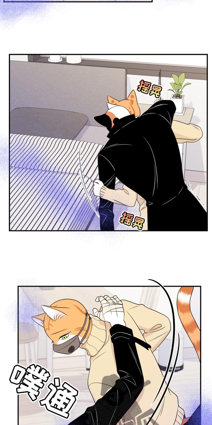 第50章：决定