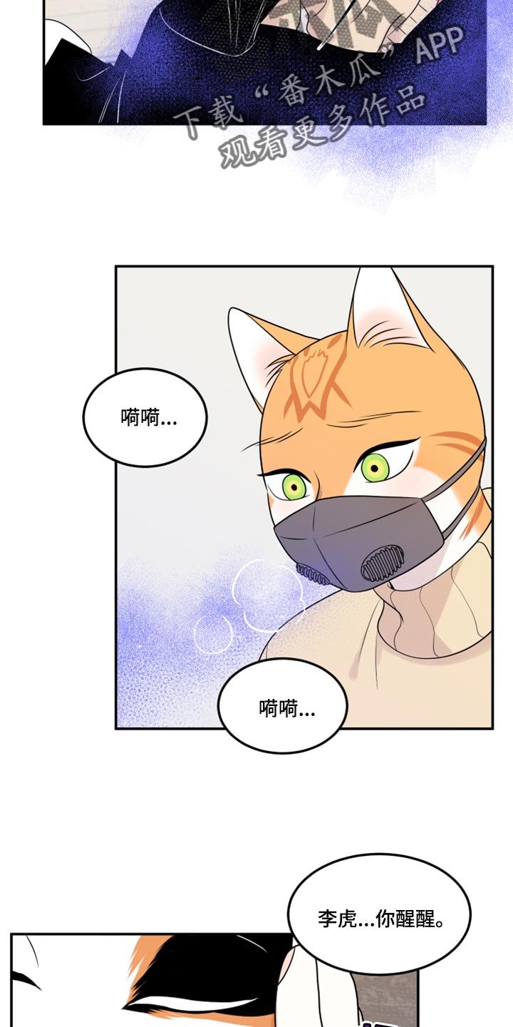 第50章：决定