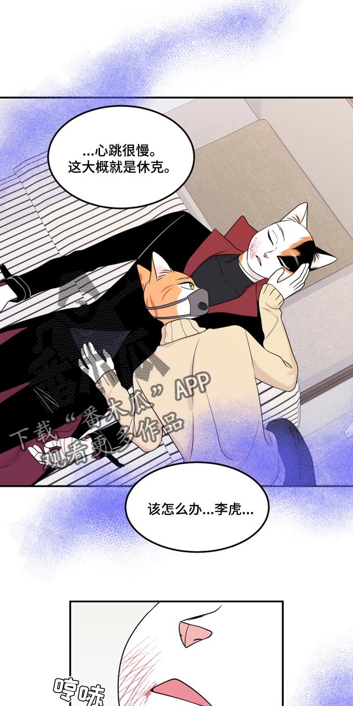 第50章：决定