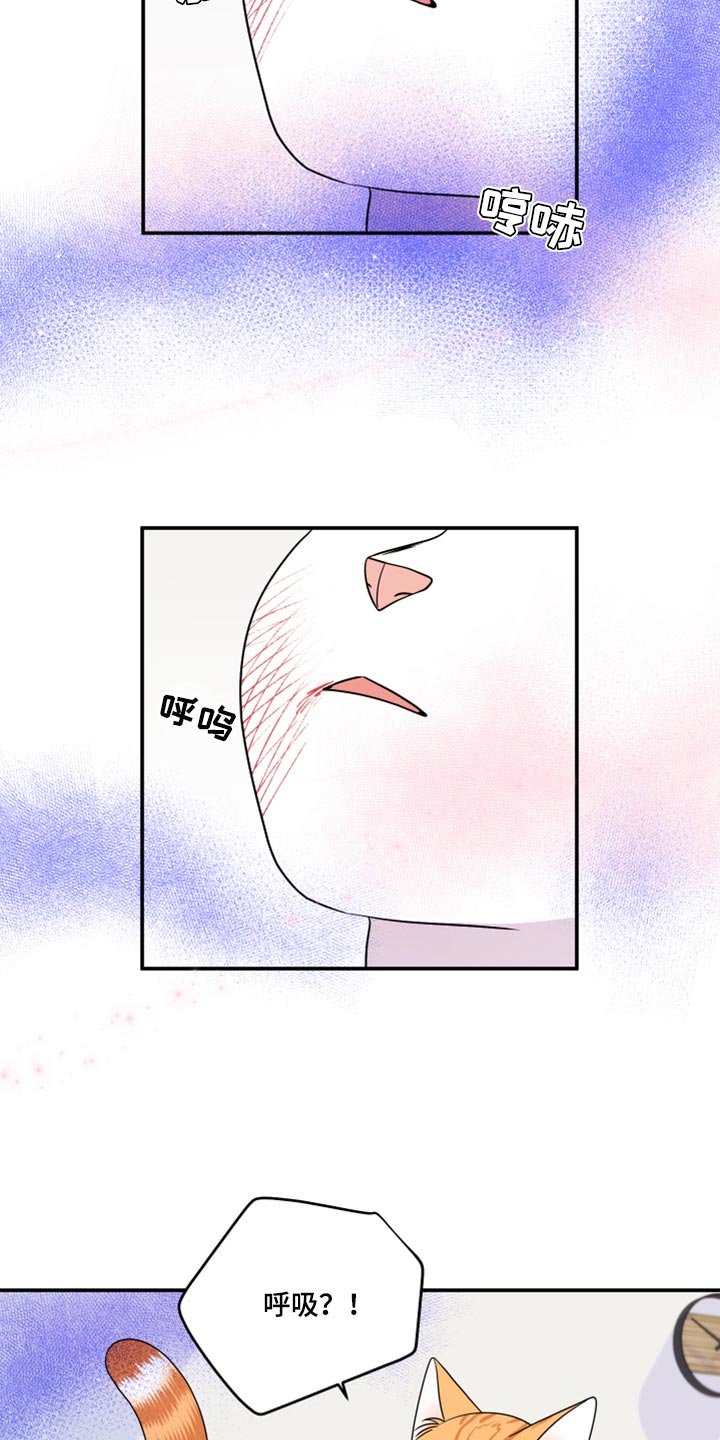 第50章：决定