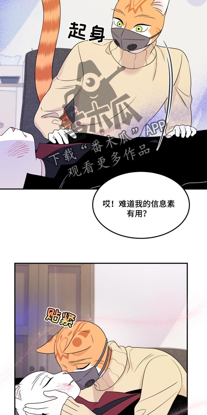 第50章：决定