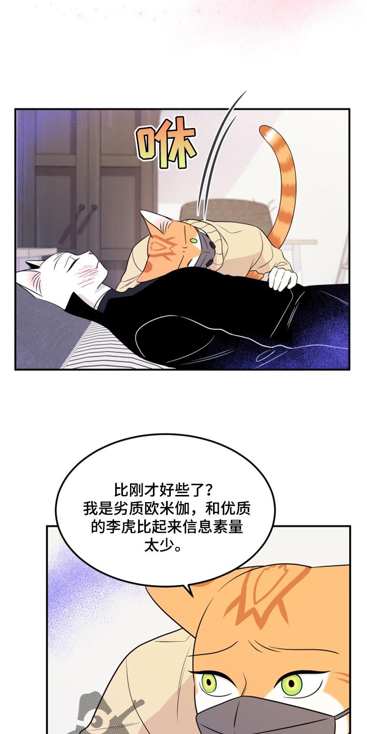 第50章：决定