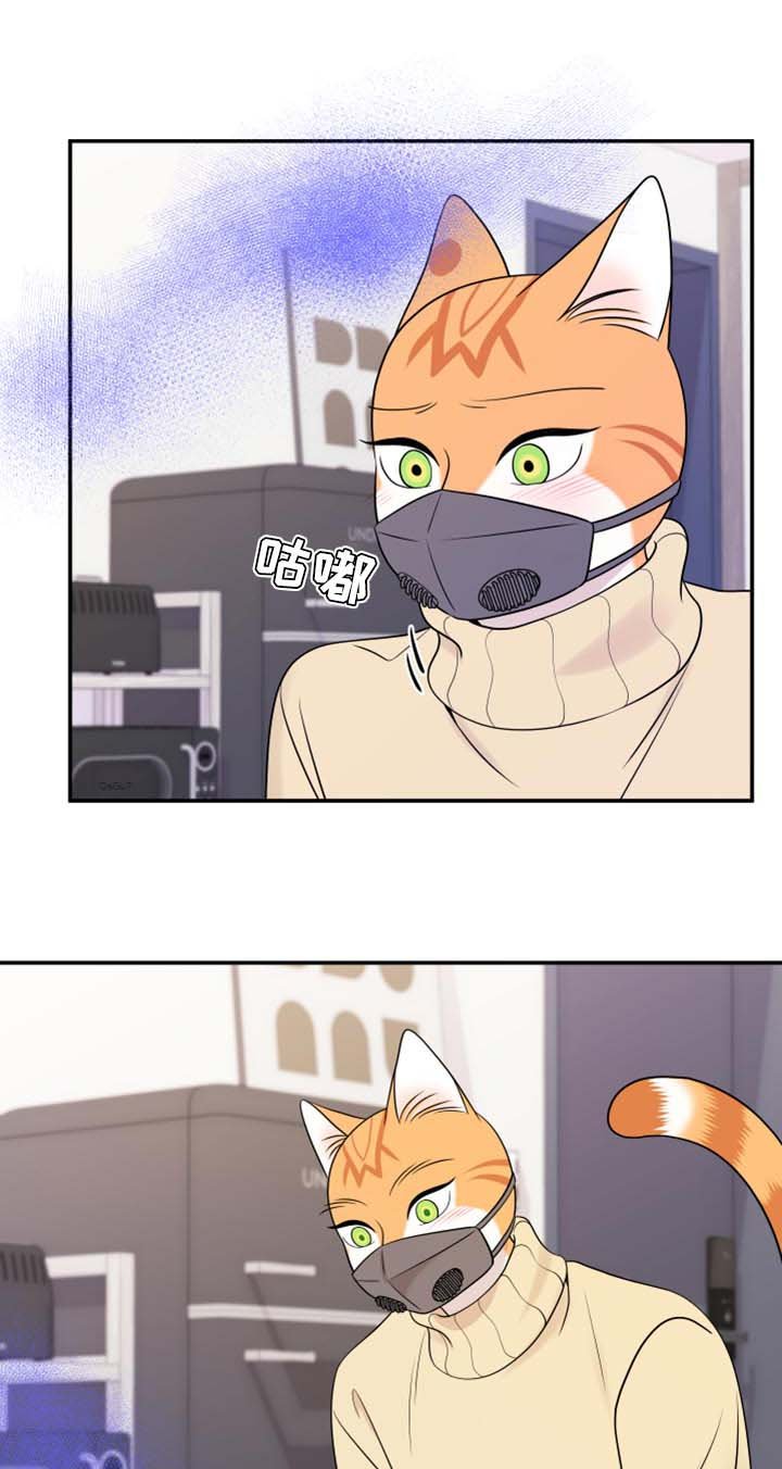 第50章：决定