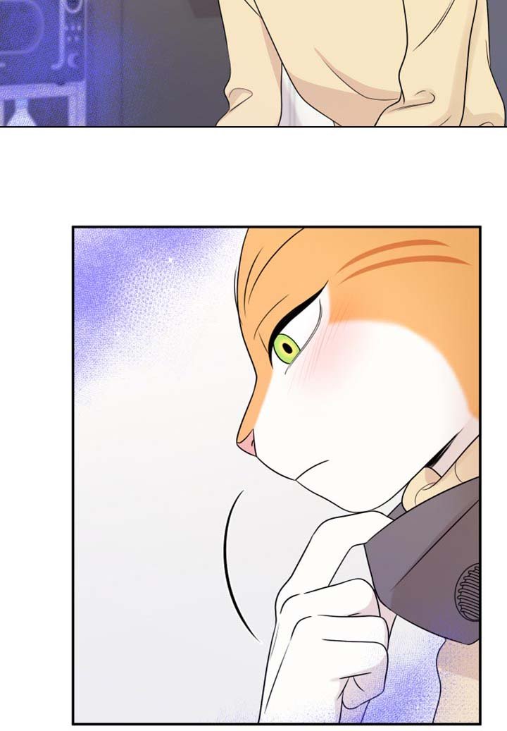 第50章：决定