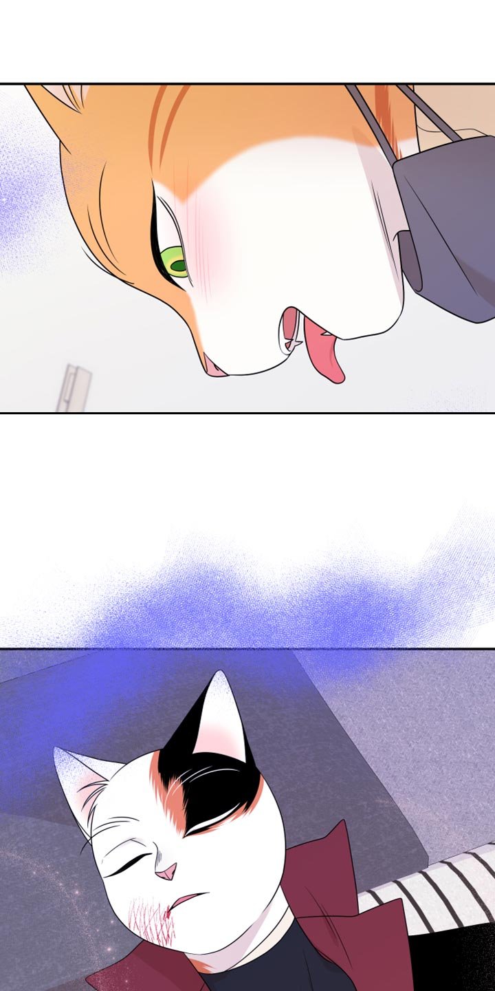 第50章：决定