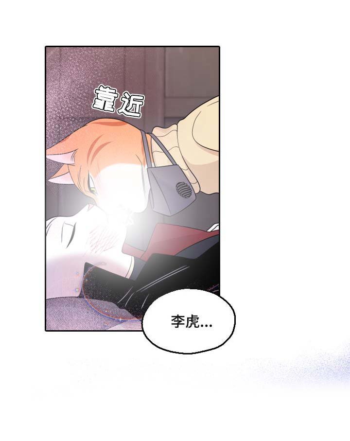 第50章：决定