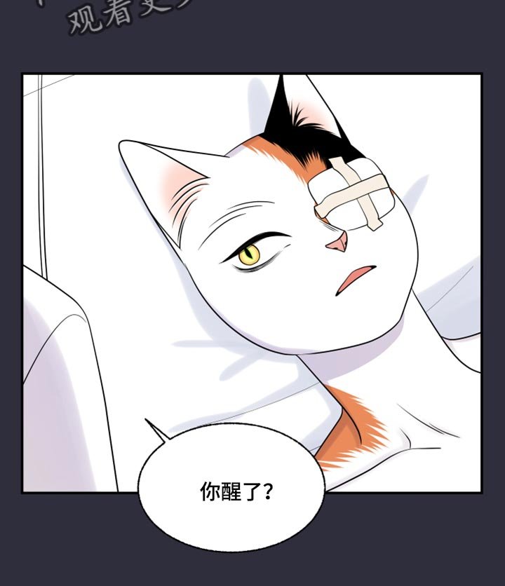 第51章：我的人生我做主（第一季完结）