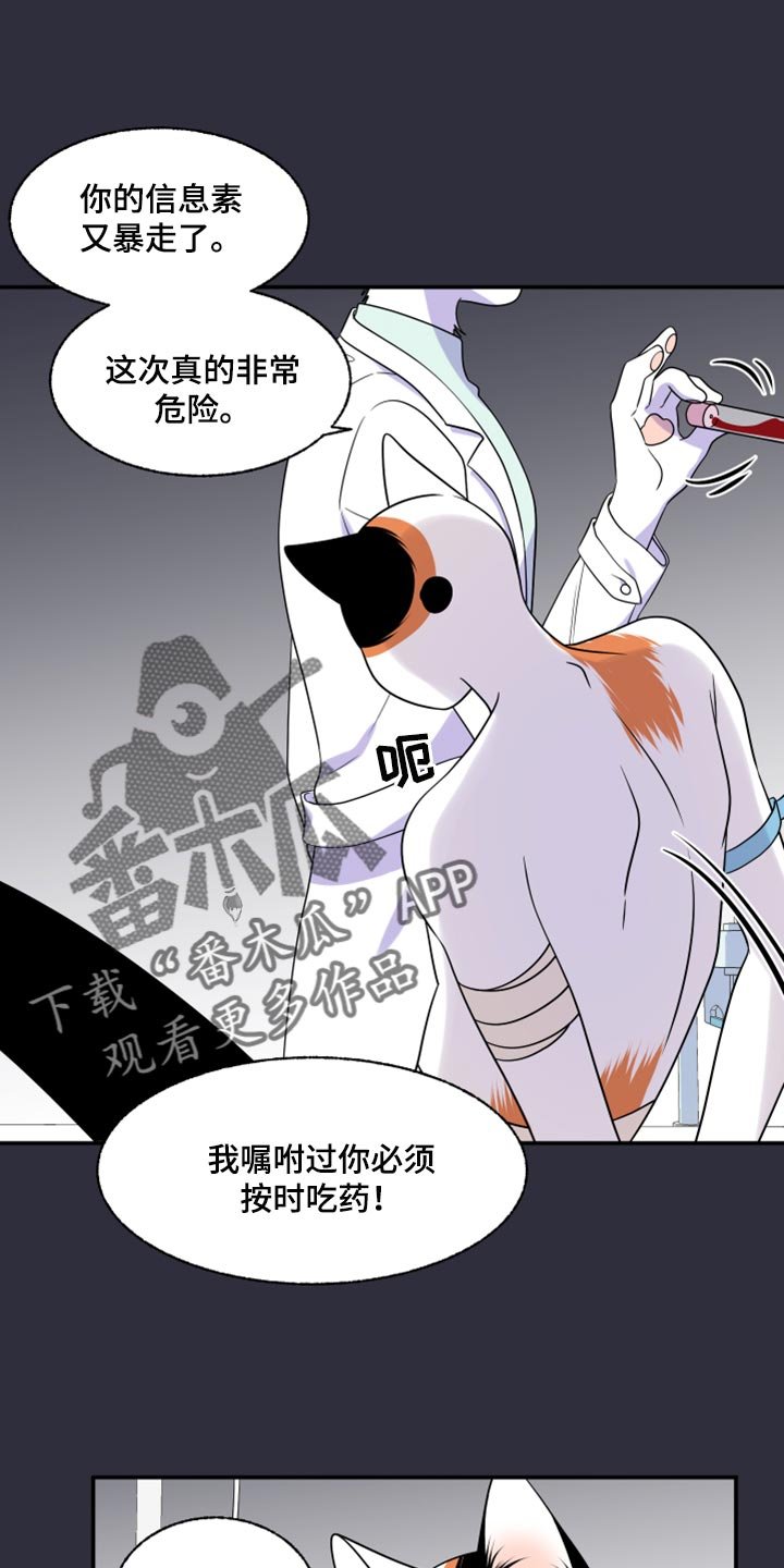 第51章：我的人生我做主（第一季完结）