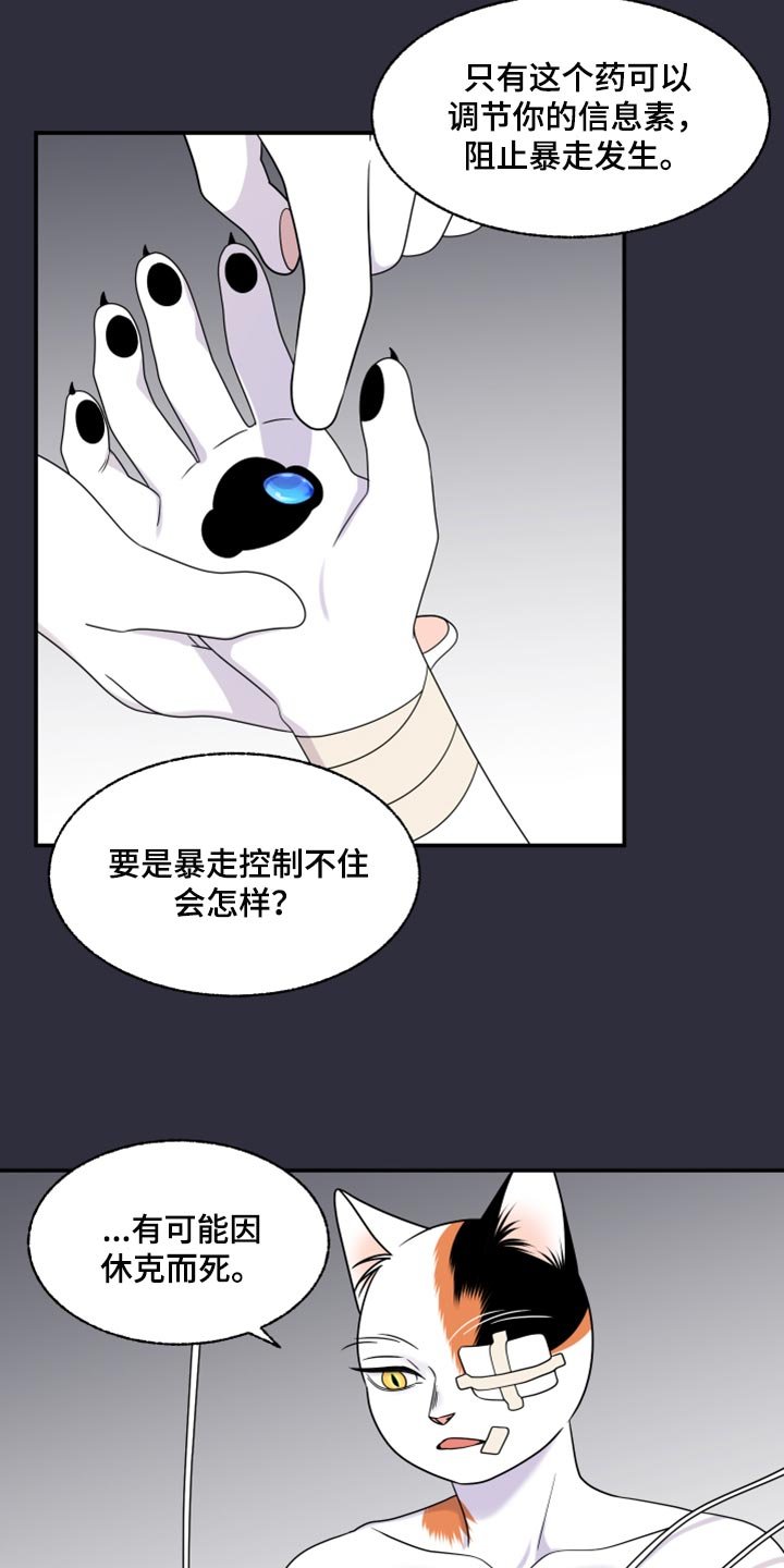 第51章：我的人生我做主（第一季完结）