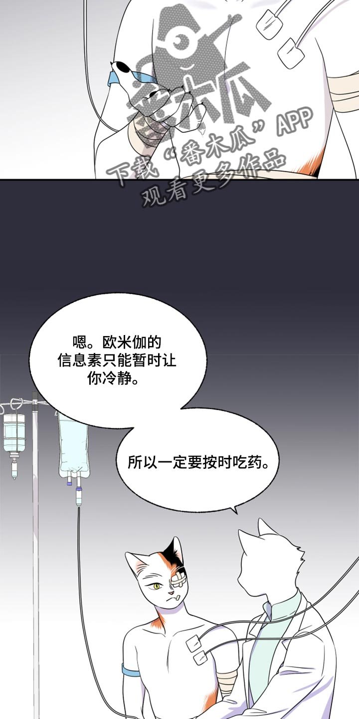 第51章：我的人生我做主（第一季完结）