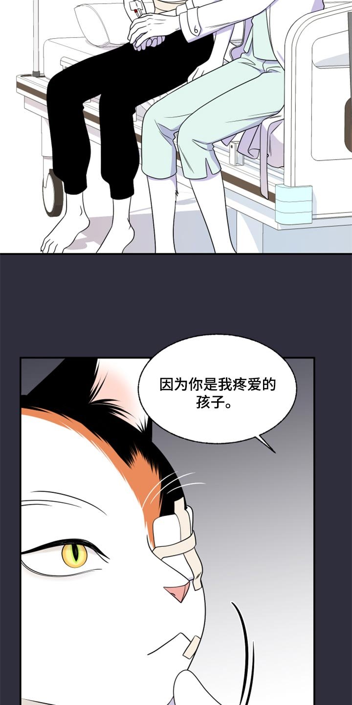 第51章：我的人生我做主（第一季完结）
