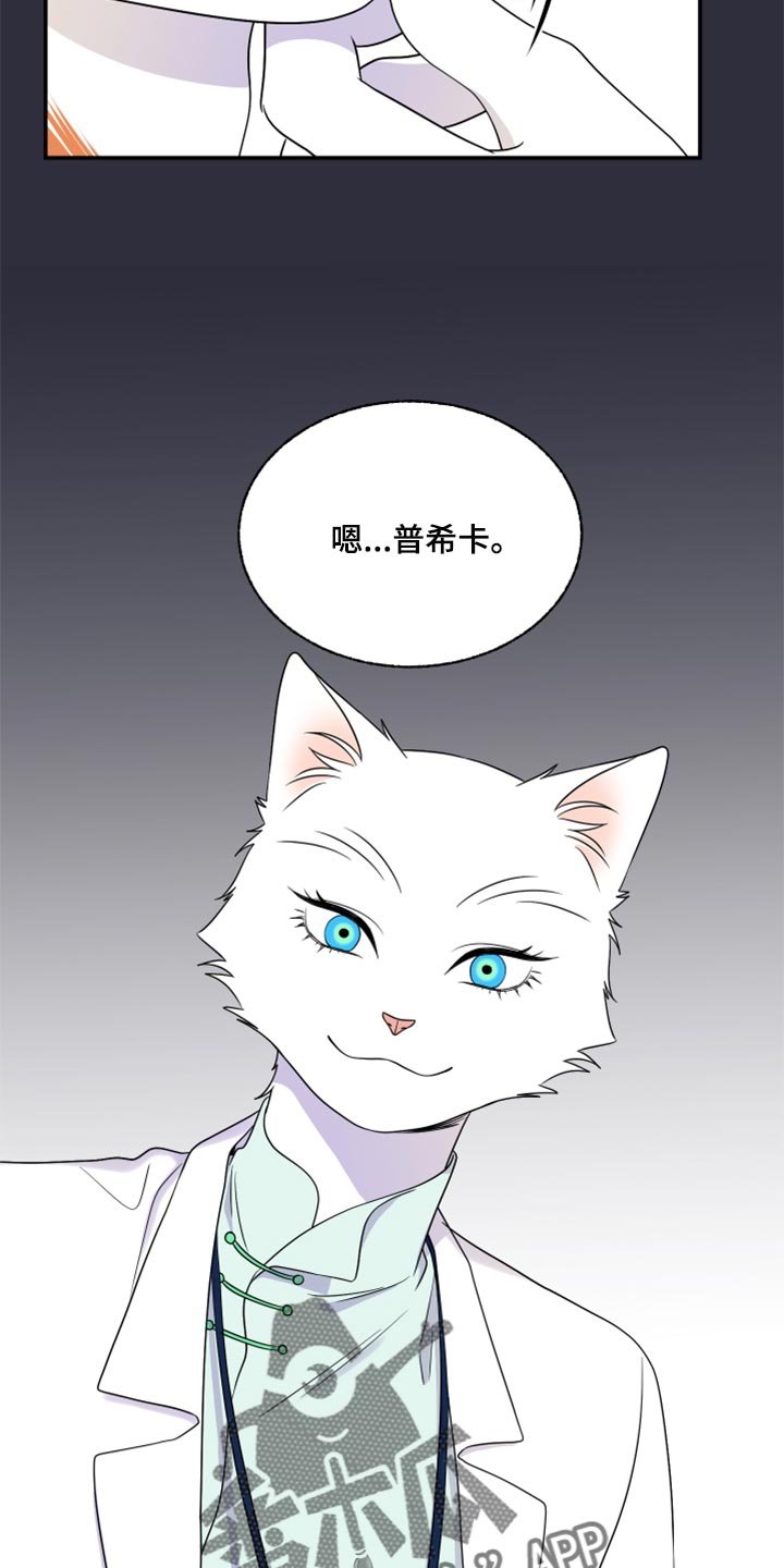 第51章：我的人生我做主（第一季完结）