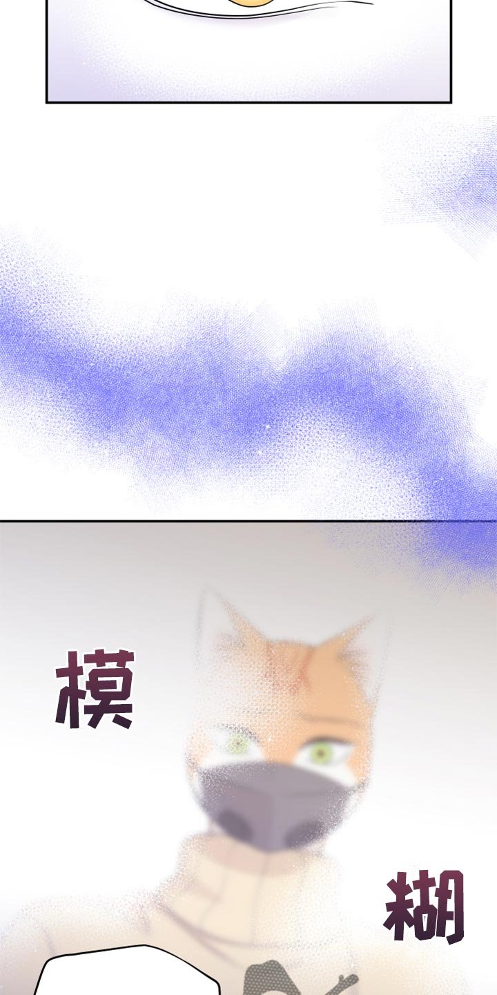 第51章：我的人生我做主（第一季完结）