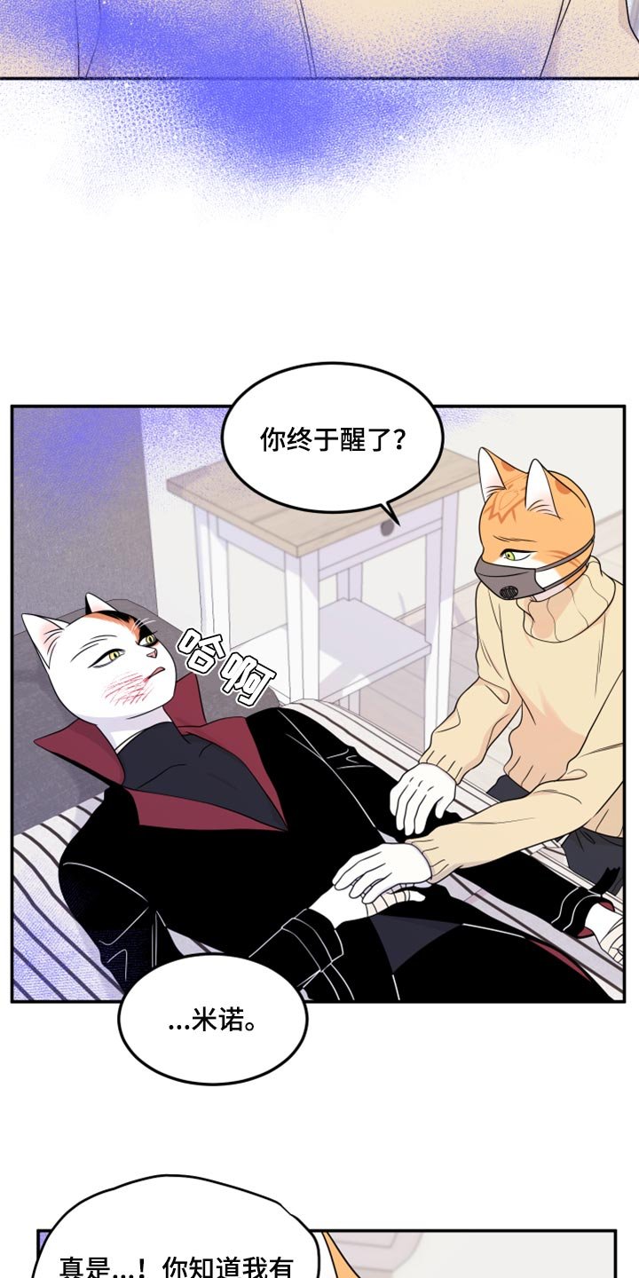 第51章：我的人生我做主（第一季完结）