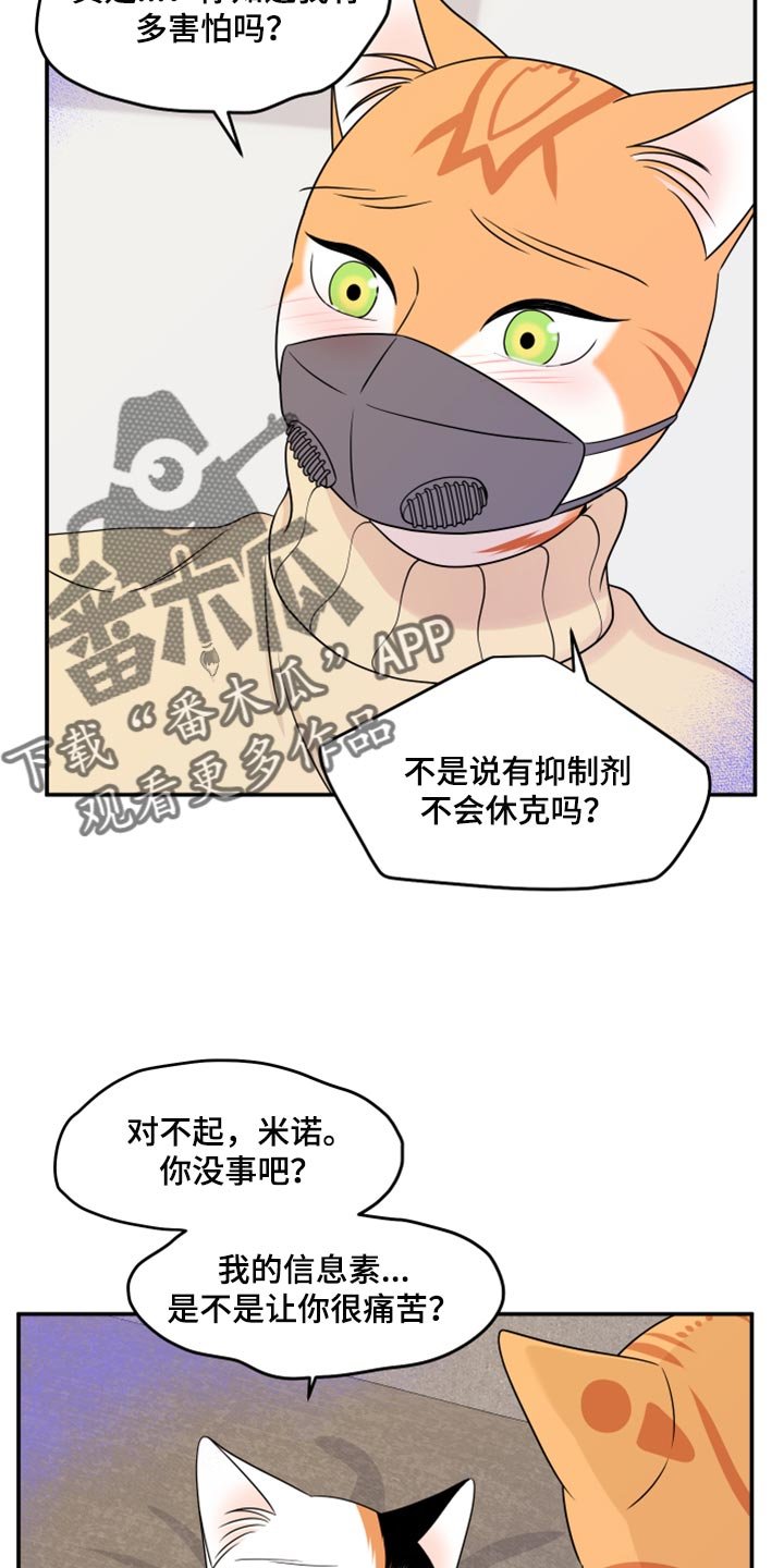 第51章：我的人生我做主（第一季完结）