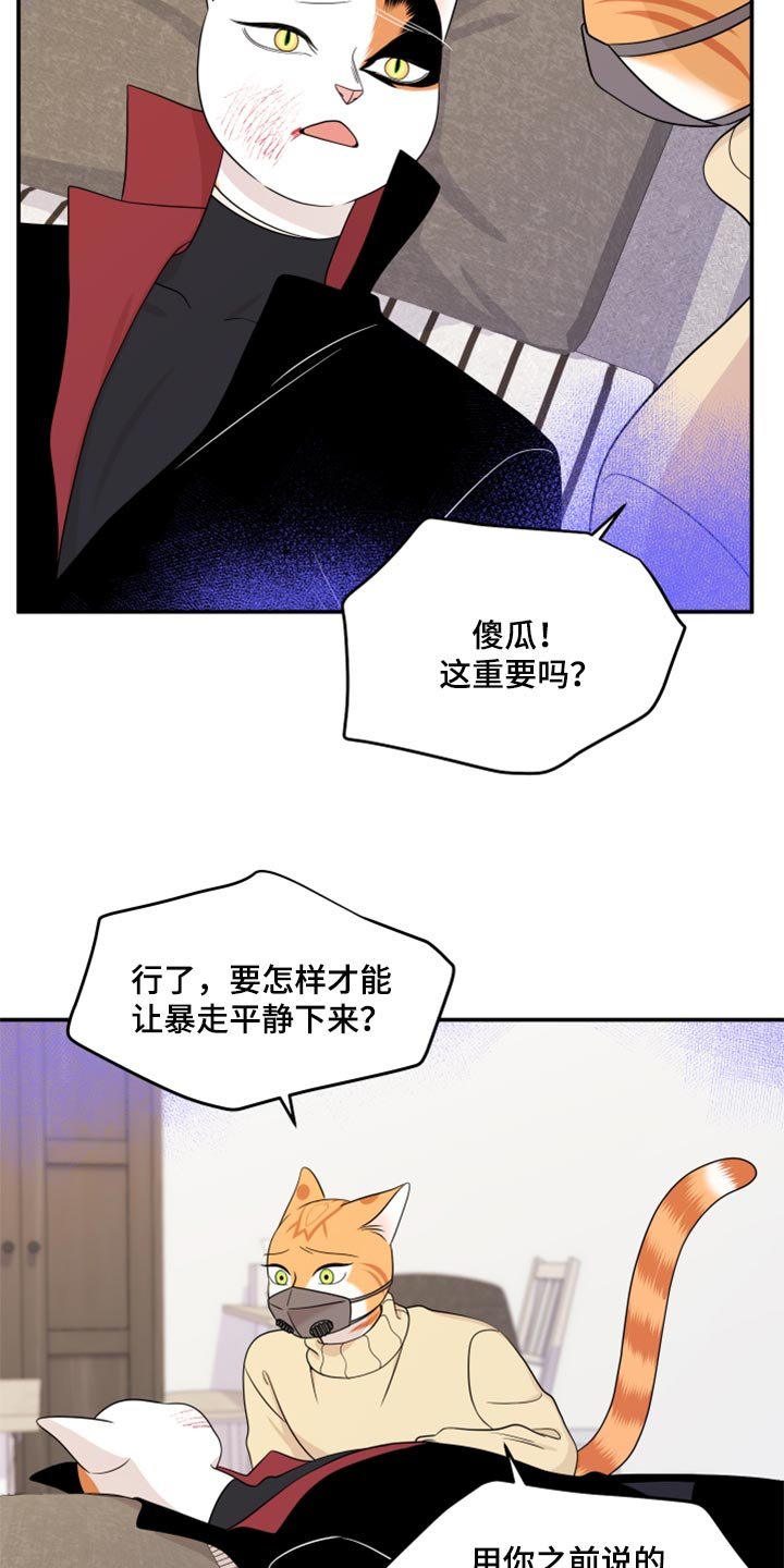 第51章：我的人生我做主（第一季完结）