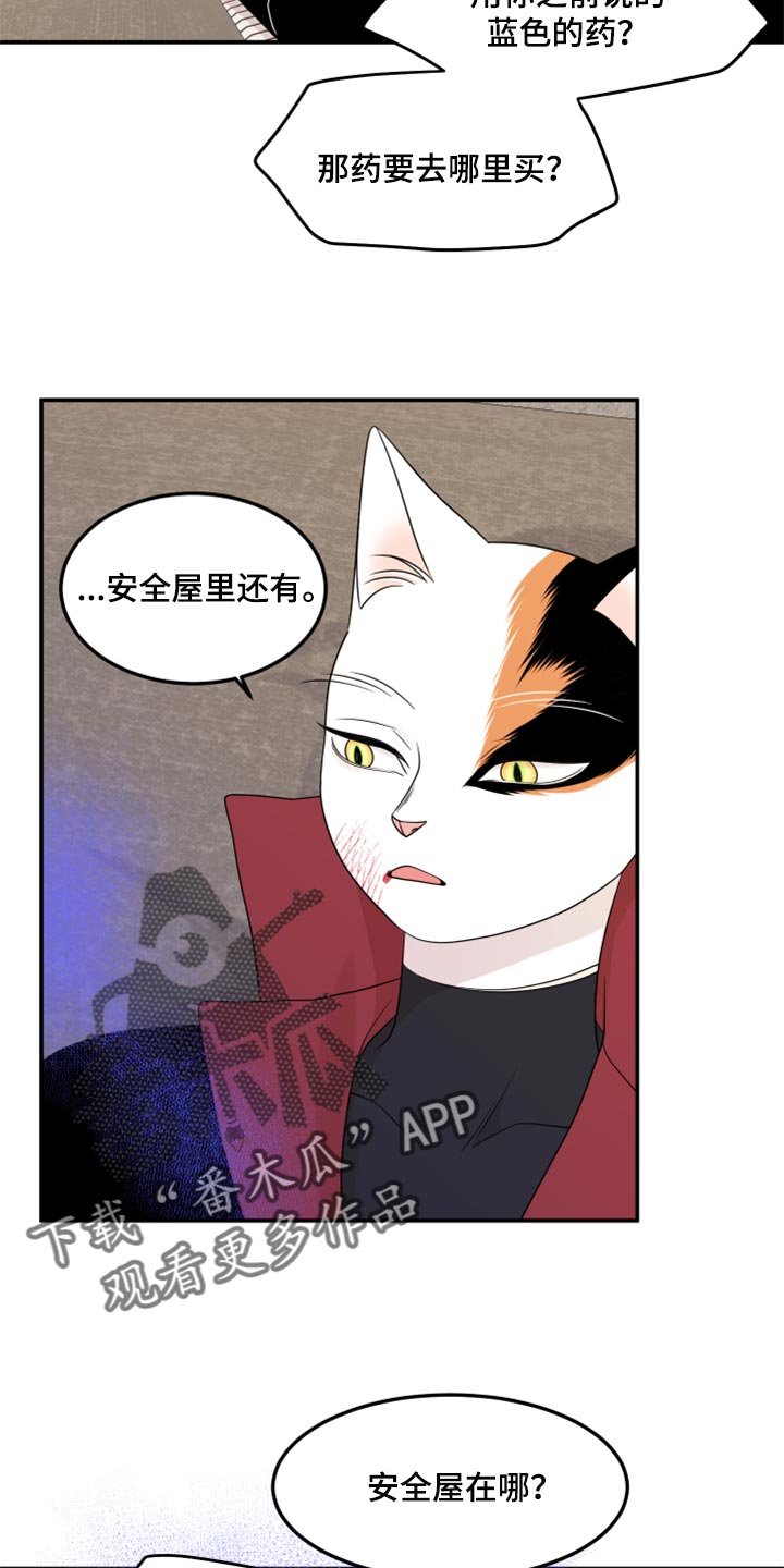第51章：我的人生我做主（第一季完结）