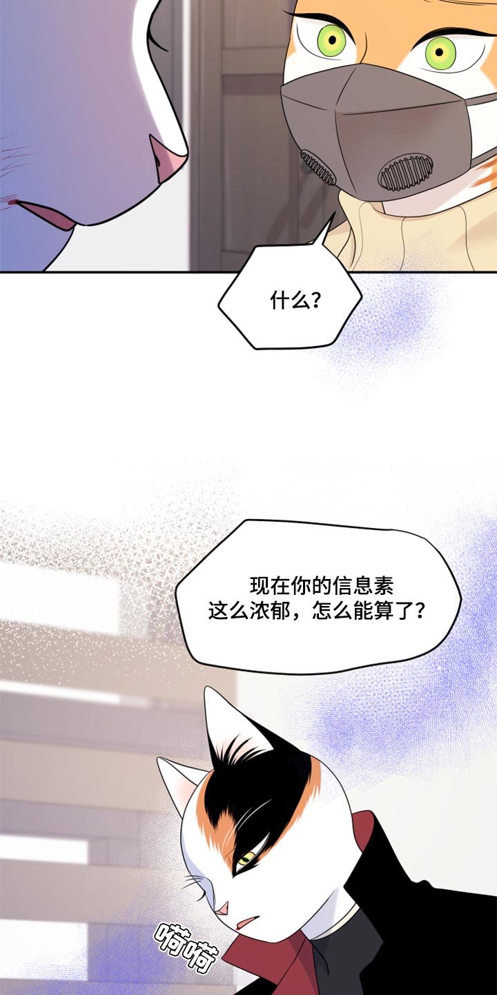 第51章：我的人生我做主（第一季完结）