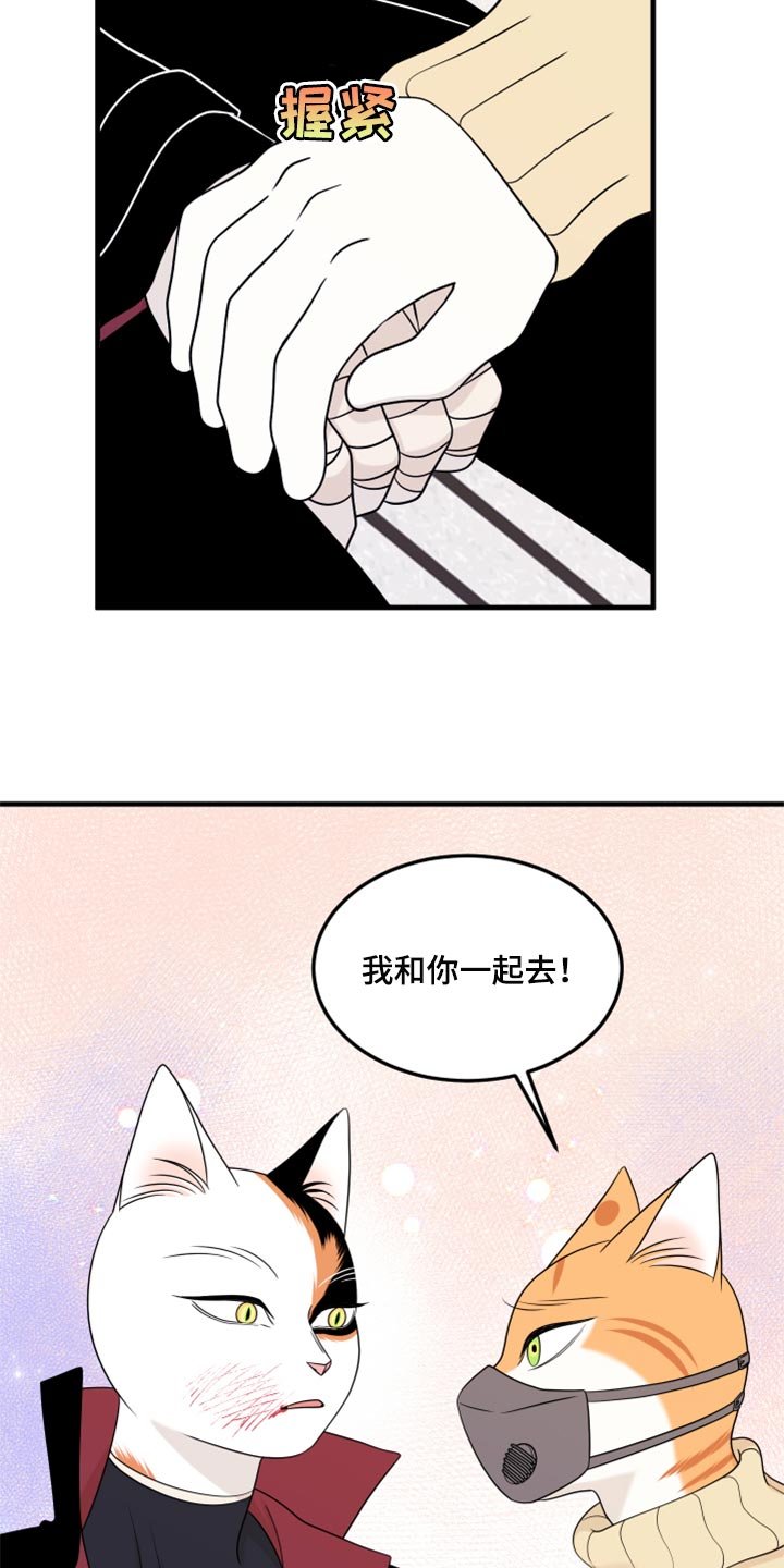 第51章：我的人生我做主（第一季完结）