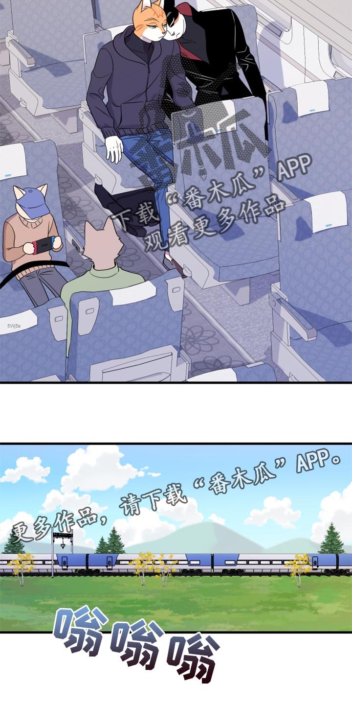 第51章：我的人生我做主（第一季完结）