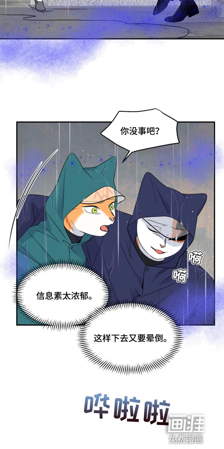 第52章：【第二季】逃跑之路