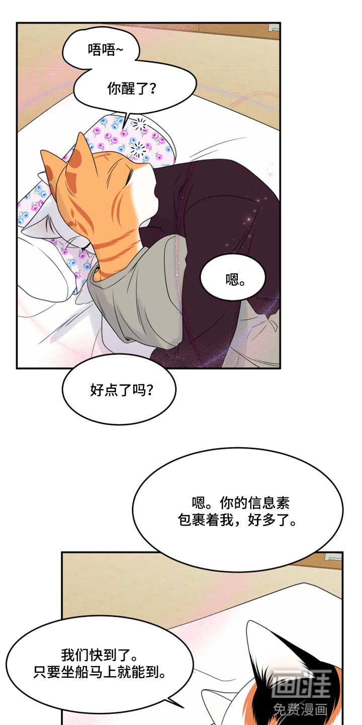 第53章：【第二季】你要丢下我?