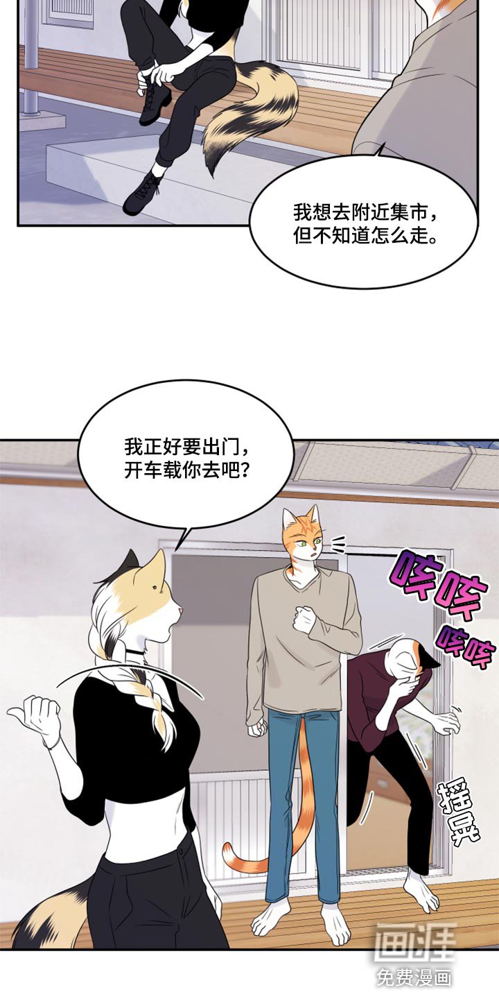第53章：【第二季】你要丢下我?