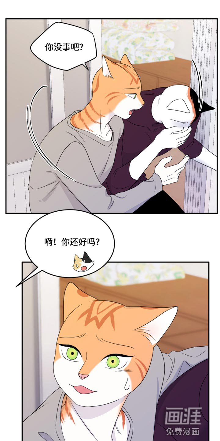 第53章：【第二季】你要丢下我?
